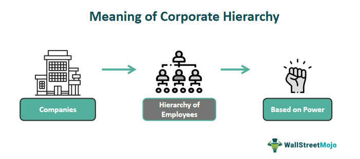 Understanding Corporate Hierarchy: Roles and Responsibilities Explained